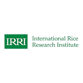 International Rice and Research Institute (IRRI